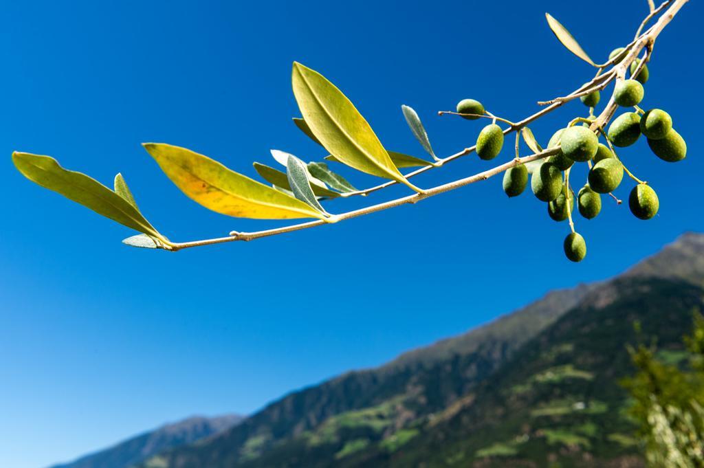 Biohof Niedereben Villa Rablà Dış mekan fotoğraf