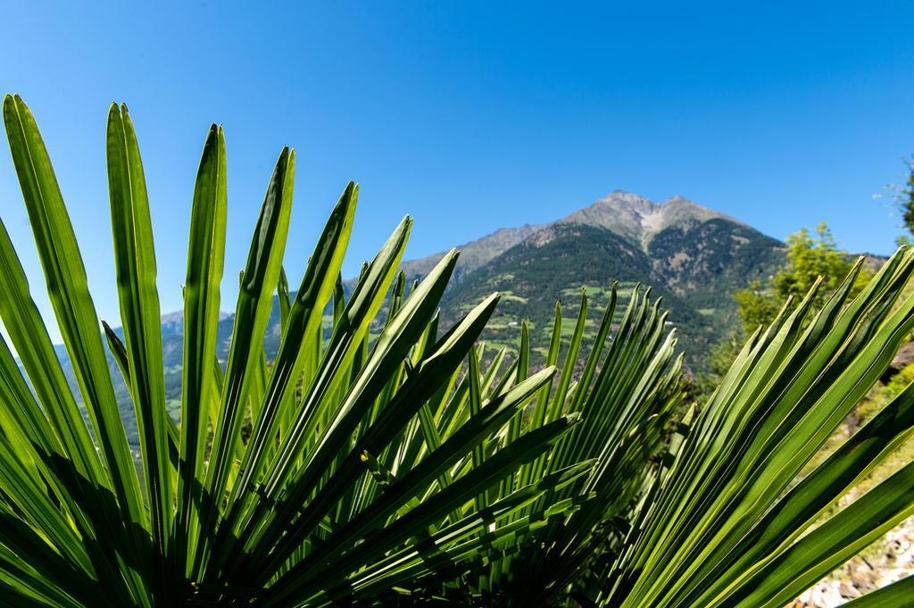 Biohof Niedereben Villa Rablà Dış mekan fotoğraf