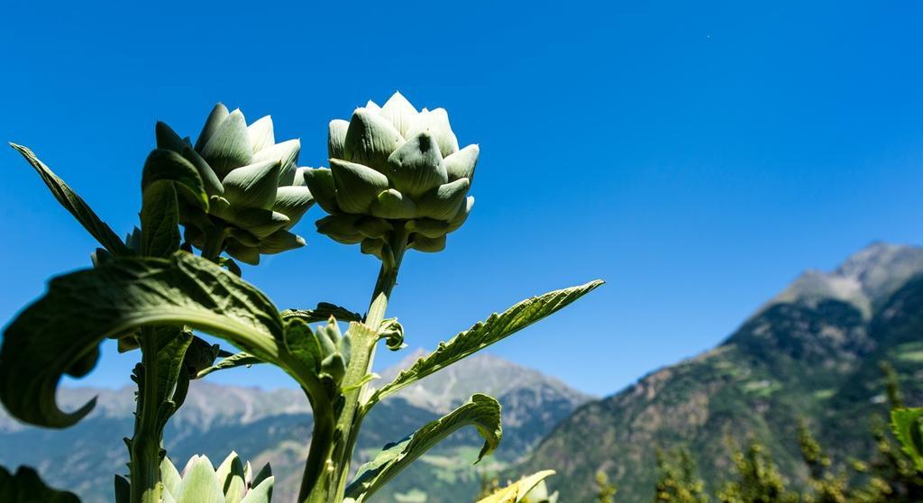 Biohof Niedereben Villa Rablà Dış mekan fotoğraf