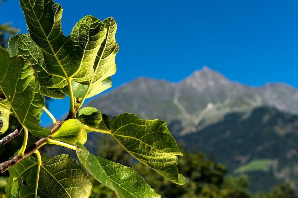 Biohof Niedereben Villa Rablà Dış mekan fotoğraf