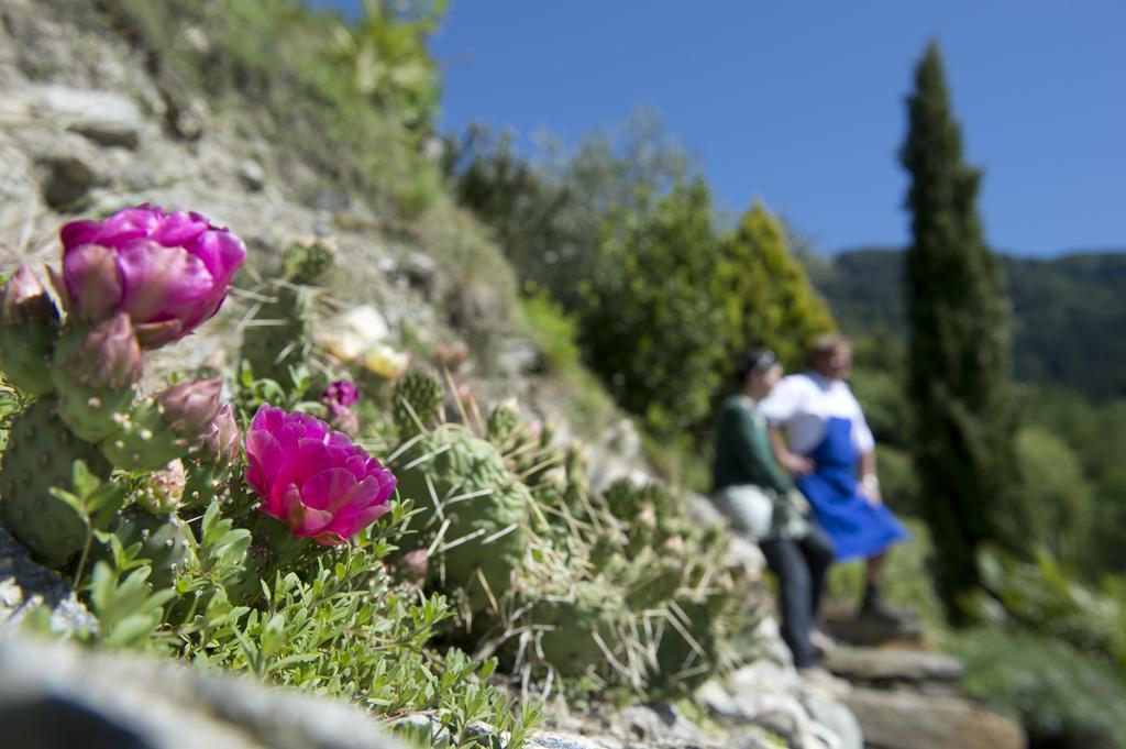 Biohof Niedereben Villa Rablà Dış mekan fotoğraf